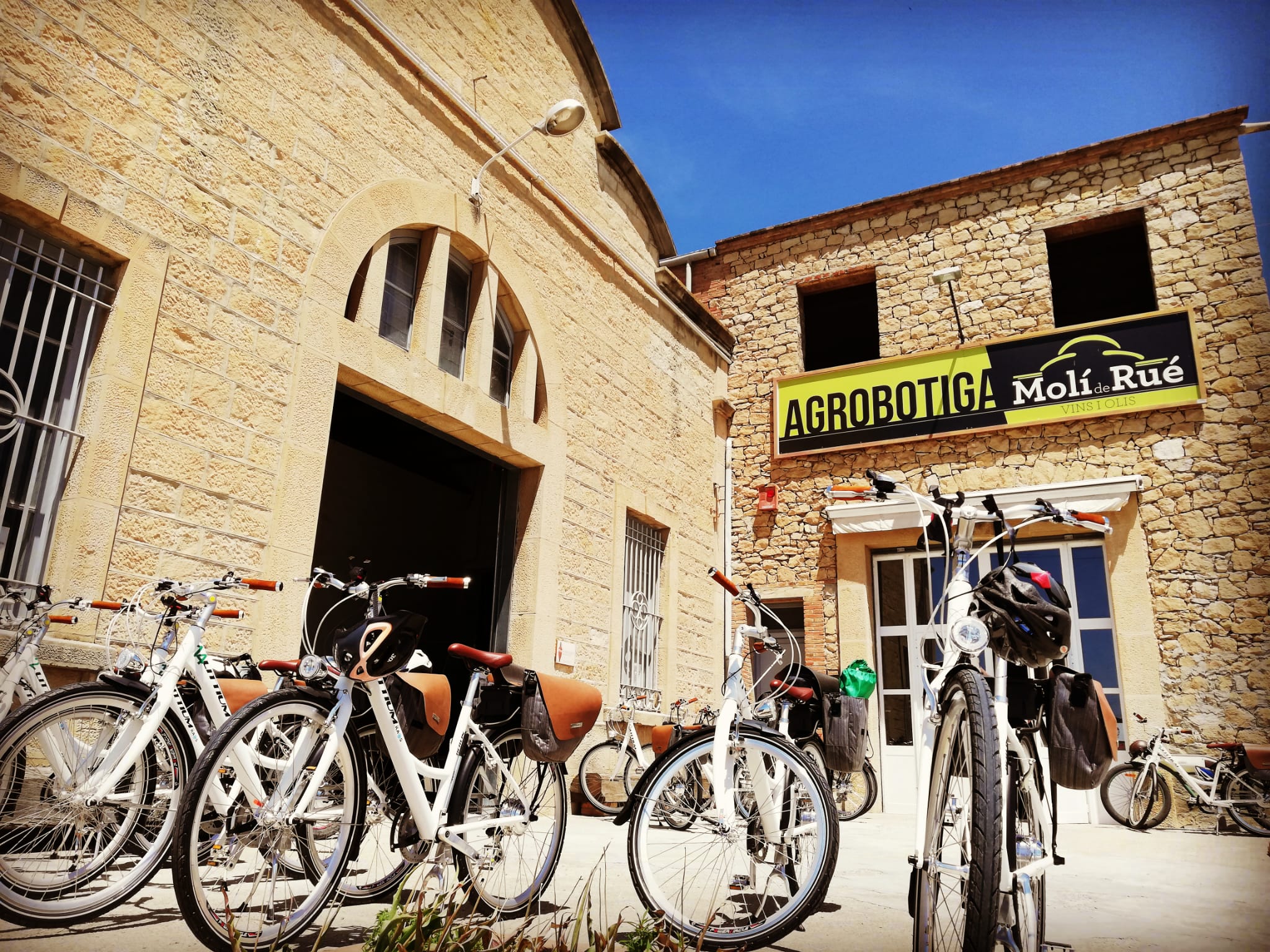 Passejada amb bicicleta elèctrica i tast de vins. - Imatge 2