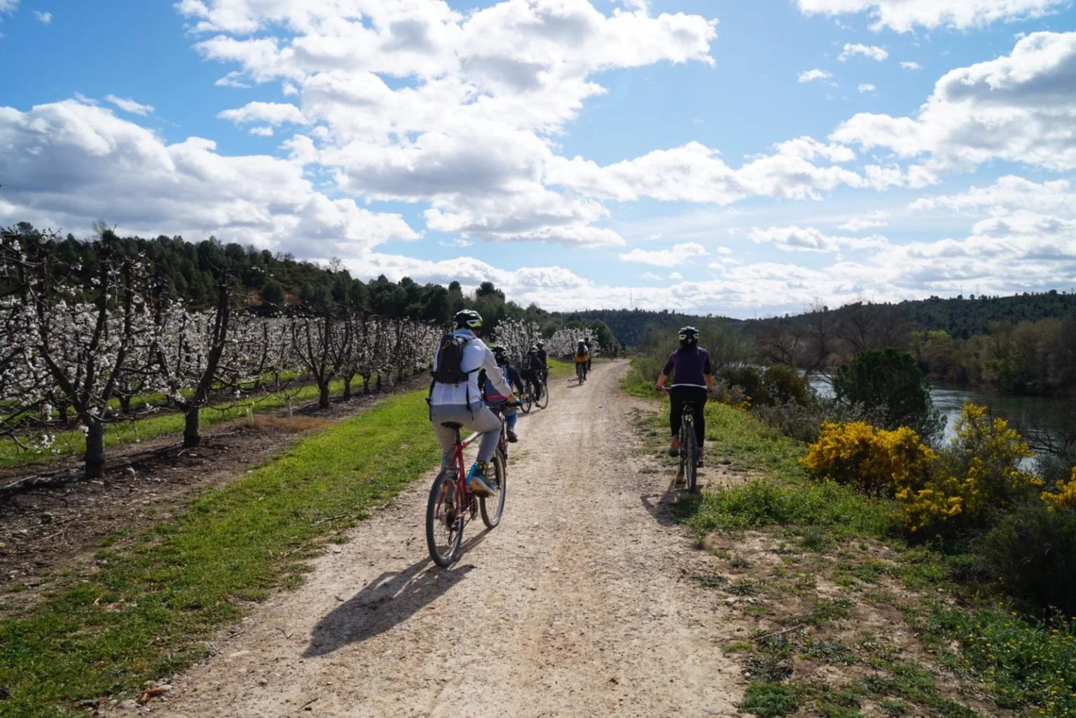 Passejada amb bicicleta elèctrica i tast de vins. - Imatge 4